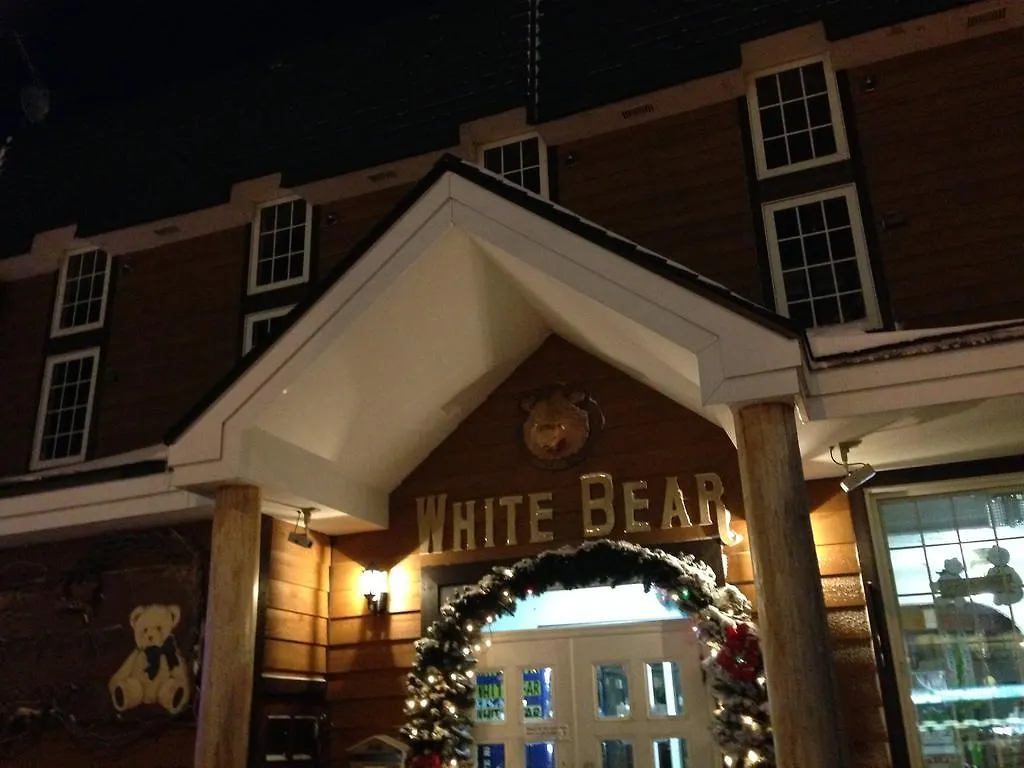 Pension New White Bear Niseko 2*, Kutchan